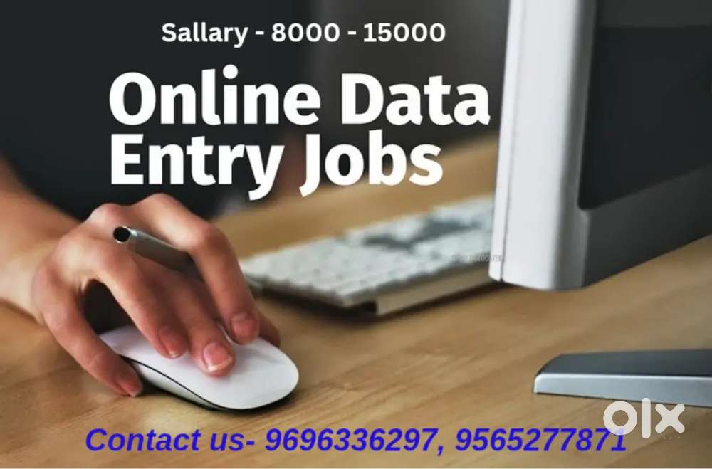 Data Entry Operator ( Work from Home )