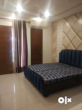 2bhk fully furnished flat for rent sunrise jaipuria