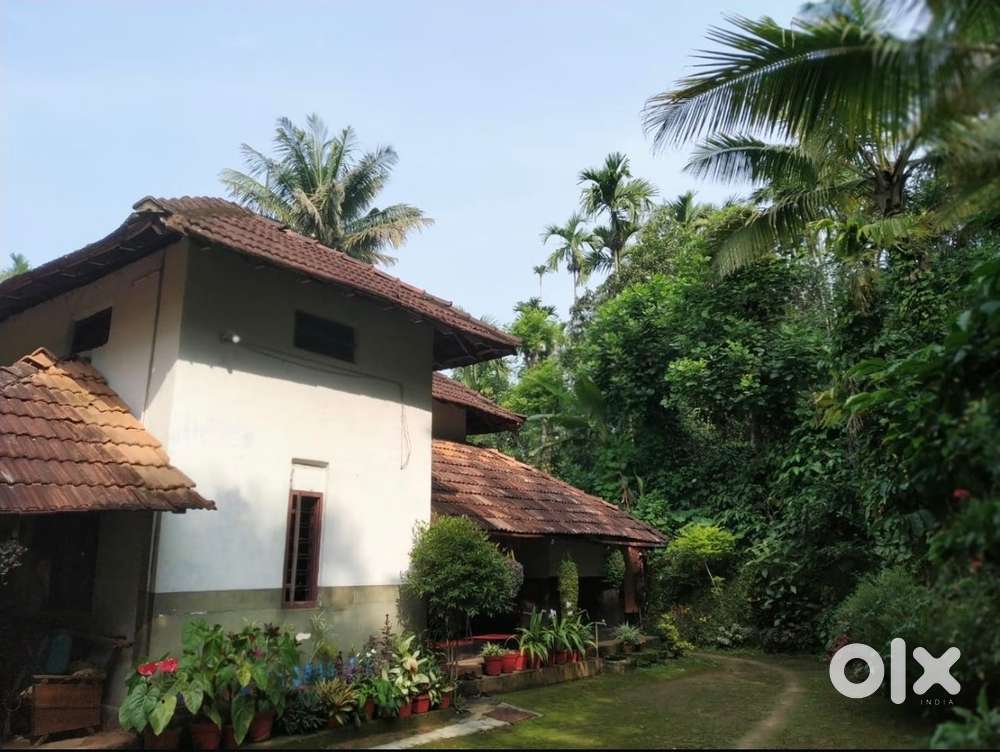 beautifull Home In peaceful Area