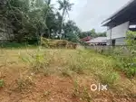 6.5 CENT Original Dry Land for Sale near Chenkottukonam