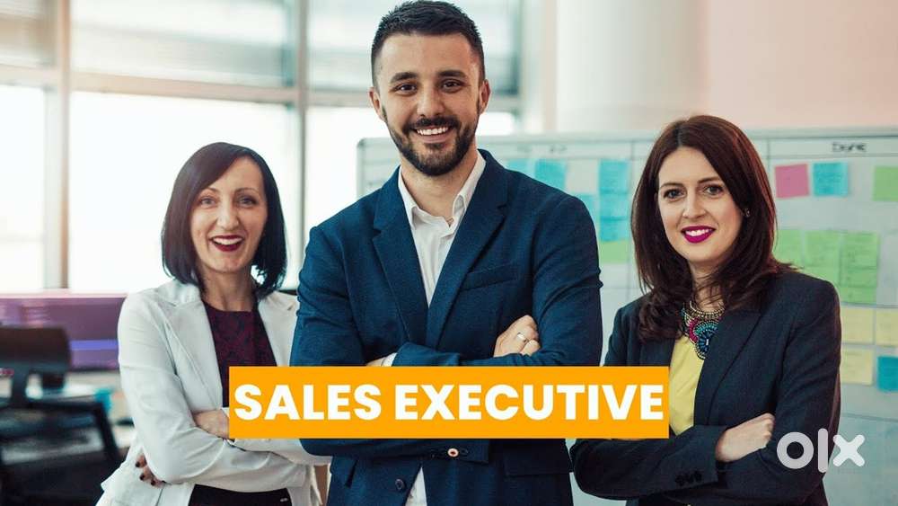 Sales and Marketing Executive
