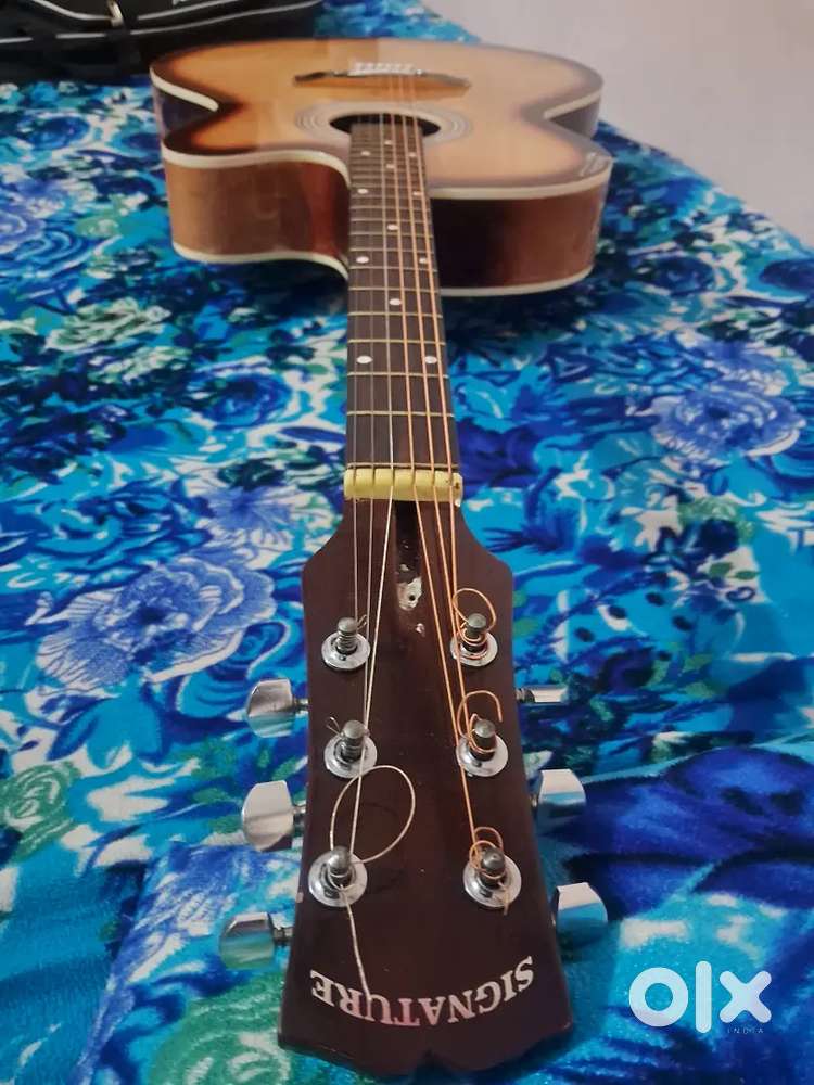 Signature semi acoustic just 11 months old