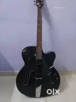 Electronic Guiter
