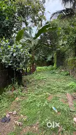 ചോറ്റാനിക്കര എരുവേലി 10 സെന്റ്