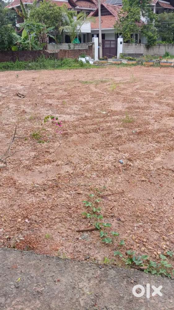 Karyavattom pullanivila jn to600 mtr 3cent plot