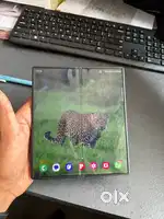 Samsung Fold 6 ( 1 year 4 mounts old )