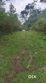 11 CENT RESORT LAND IN SIRUMALAI