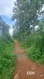 Residential plot