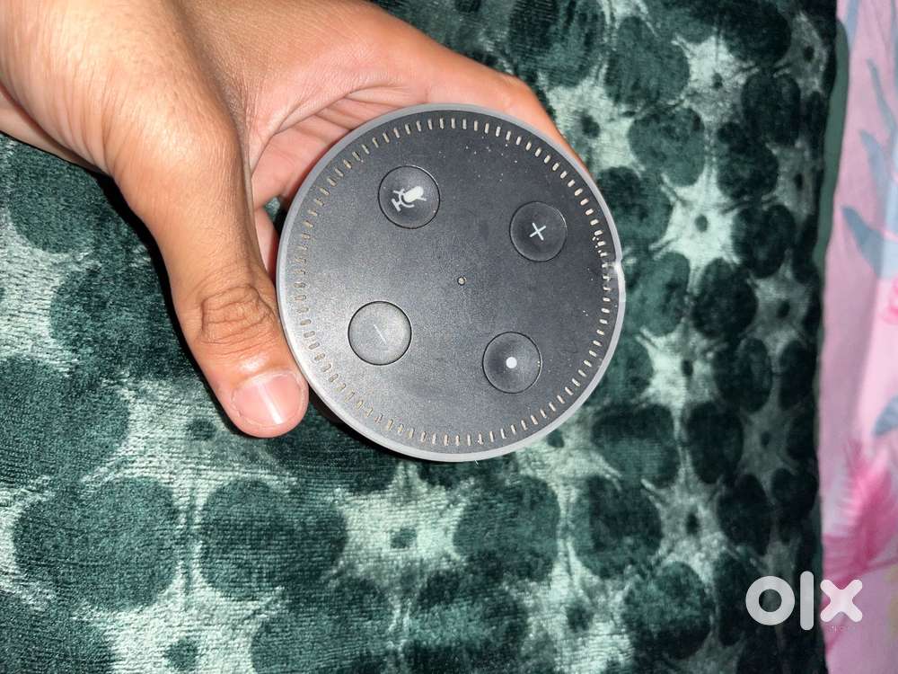 Alexa echo dot
