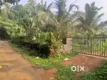 90 Cent Industrial / Farm Plot at Palissery, 7Km from Karukutty NH544