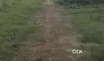 Plot for sell
