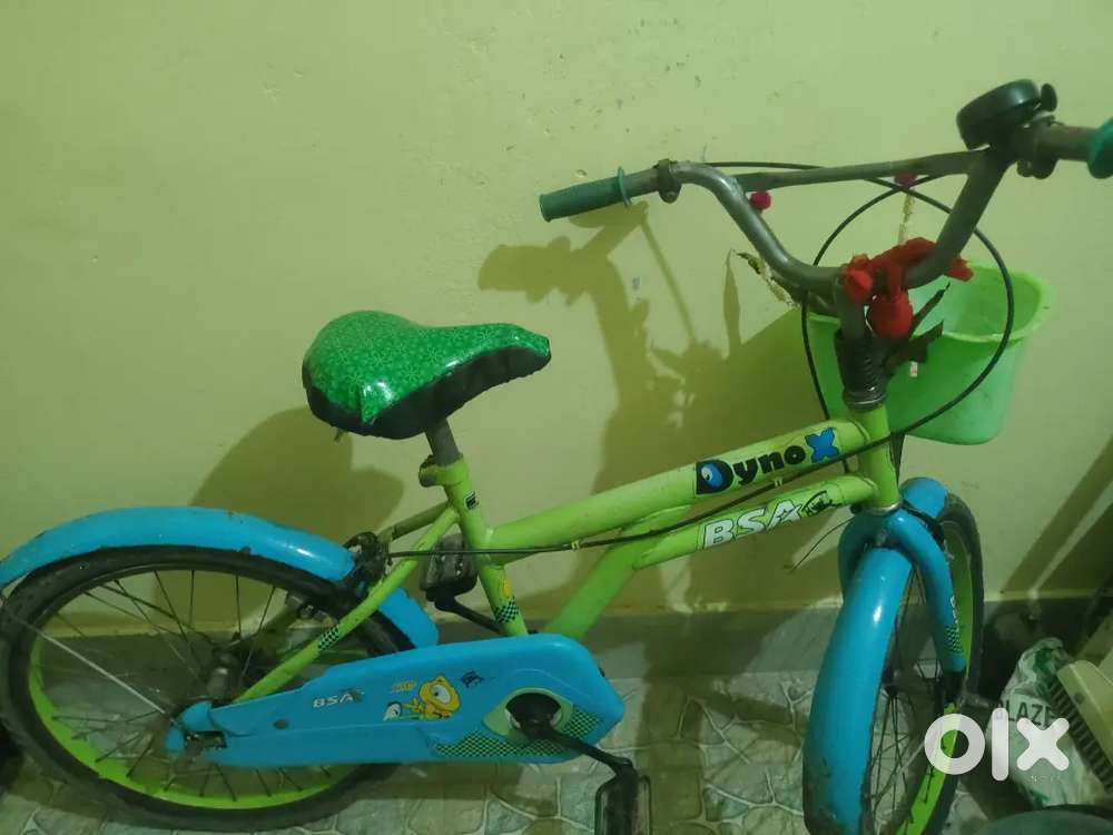 Yno bsa cycle