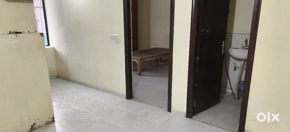 1 BHK in omaxe Sanskriti near palasio mall