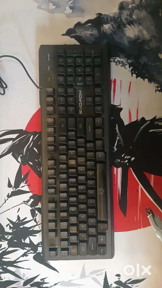 Evofox keyboard - Its a full sized keyboard with blue and clear switch