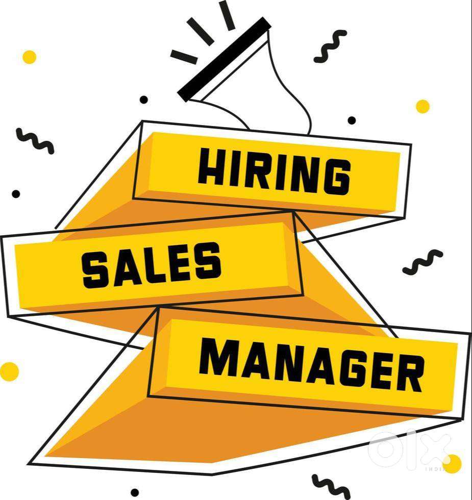 Car Sales Manager