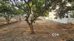2 Plots available for sale on beach lane. 
4200 sqft Each