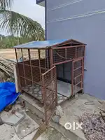 Dog cage 4×5sqrft