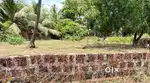Sanad plot of 1200 sqmtrs for sale in Dramapur, Navelim.