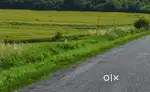 1 Acre agricultural land for sale with Thar Road approach with borewel