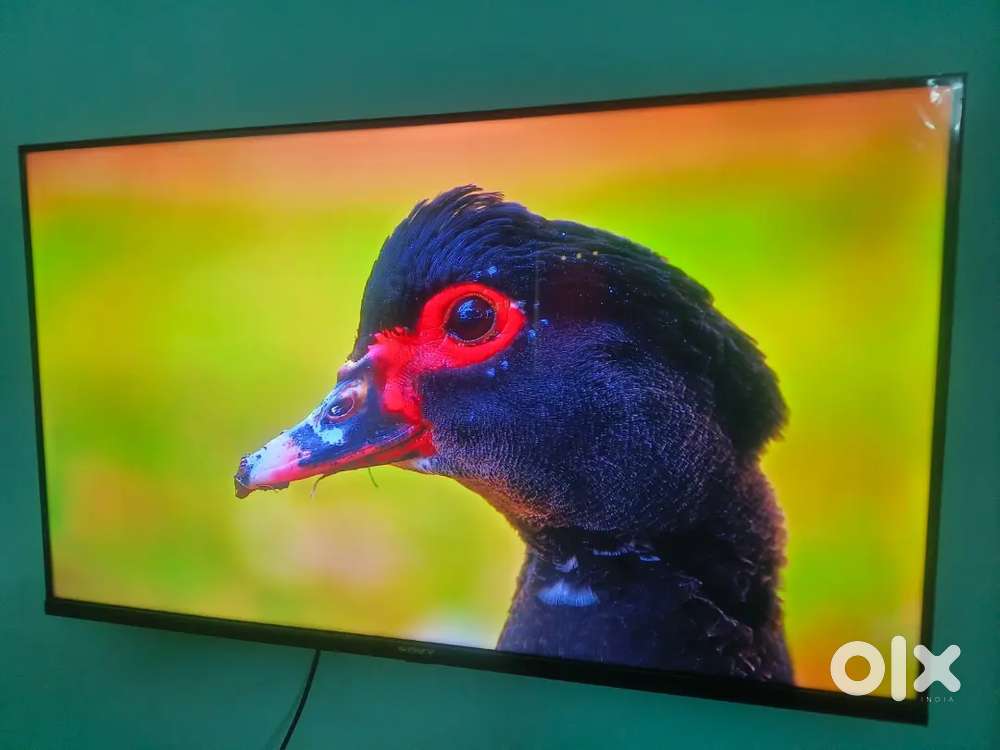 4k quality LED TV just 7000 only