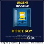 Office boy