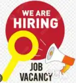 Smart lady assistant post