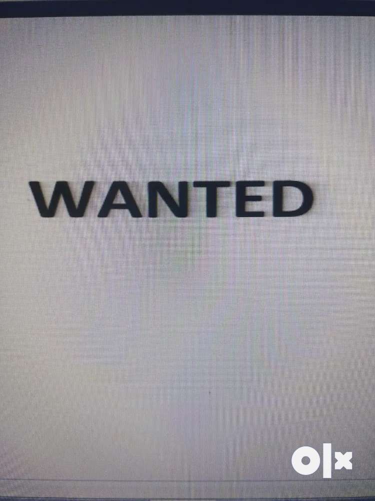 Driver Wanted (Office boy)