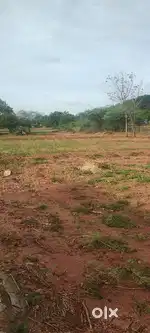 Garden area