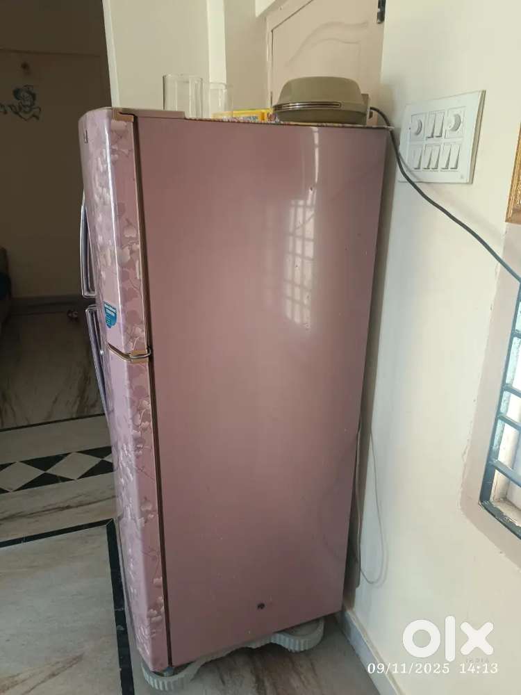 Fridge for selling