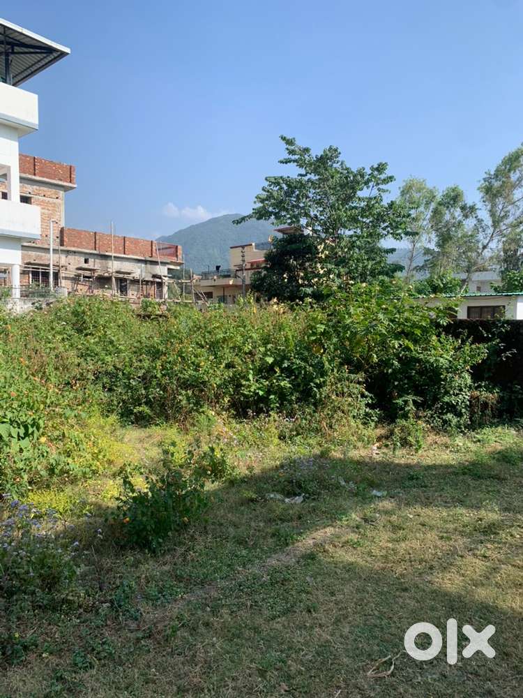 Main sahasthradhara road se walking distance  andar