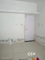 Need a roommate's girls
