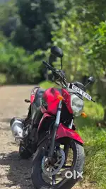 2013 Modal FZ-150
Single owner