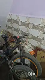 big cycle 6 months old