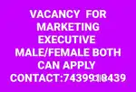 Sales and marketing executives