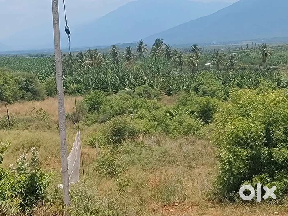 1ACER  EMTY LAND FOR SALE NEAR SIRUMUGAI