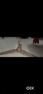 Usha seeling fan