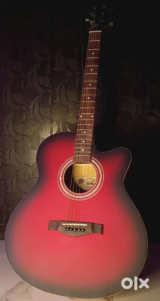 WARNER GUITAR FOR SALE - Rs. 3500