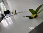 Office tables