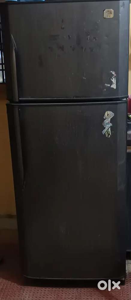 Godrej double door