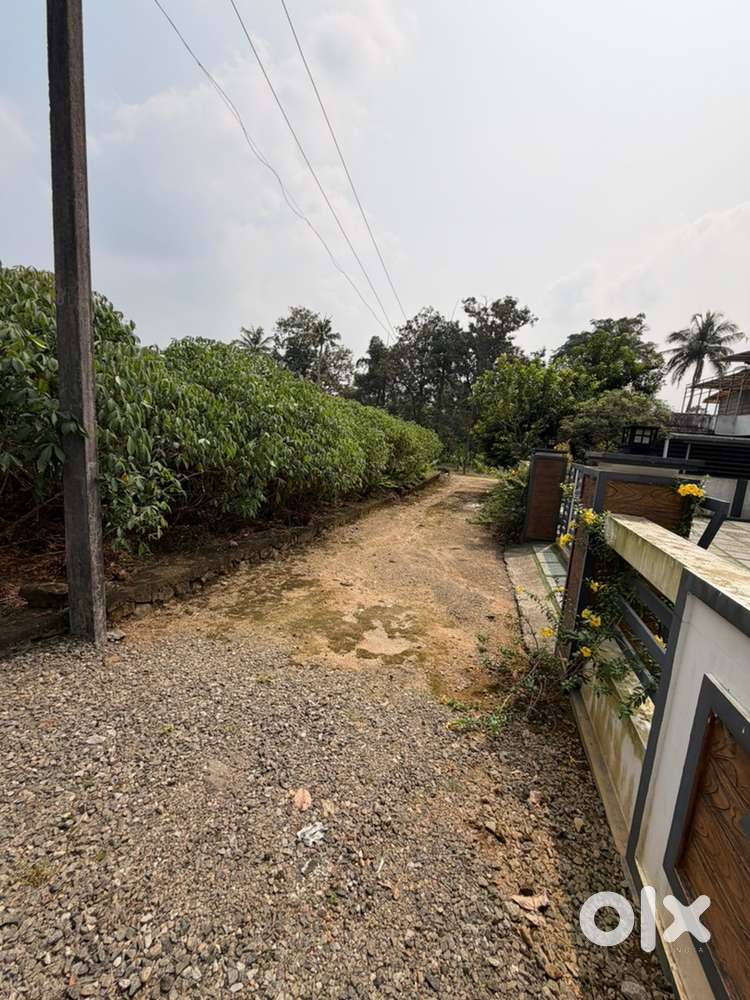 Kothamangalam Ramalloor