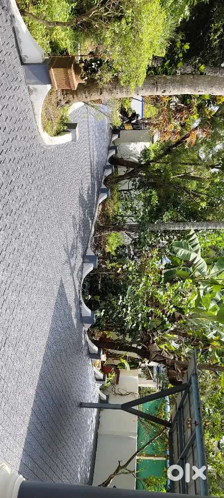 15 Cent Land for sale at Channanikadu