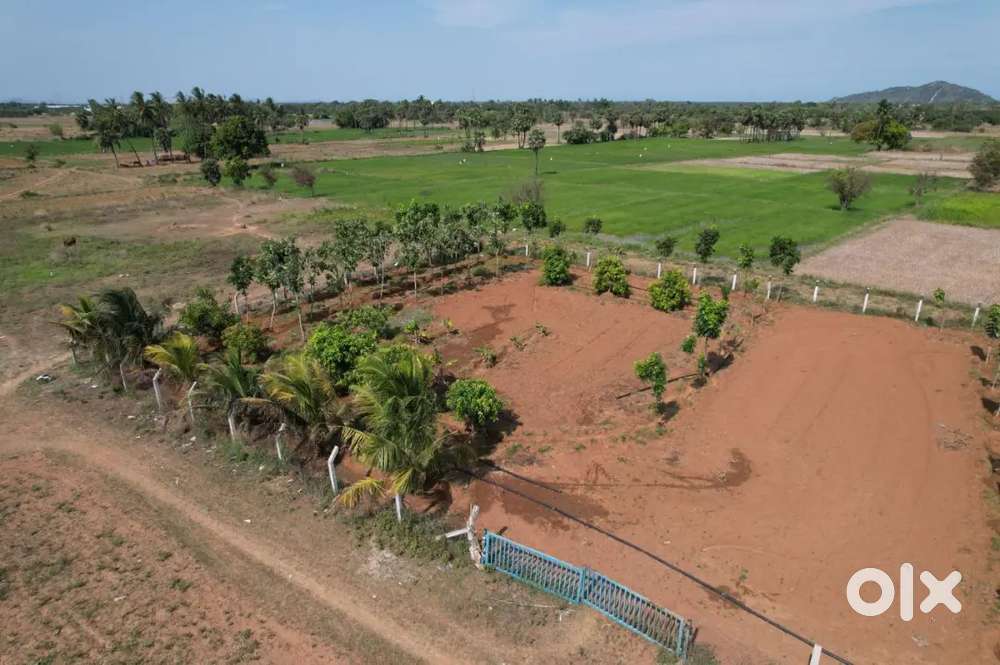 Villa plots for sale