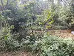Sell 4 kotha ekshonya land