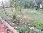 Land for sale 10 cent @225000