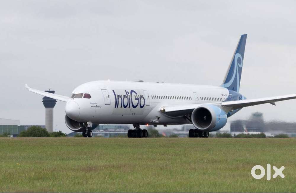 Join IndiGo Airlines as CSA, Airport Ground Staff, AOCS & Driver Jobs