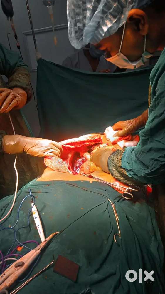 Home tutor for student all subject science math english etc