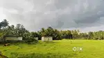 10:50 cent വെറും 6,50,000 ,Urgent sale