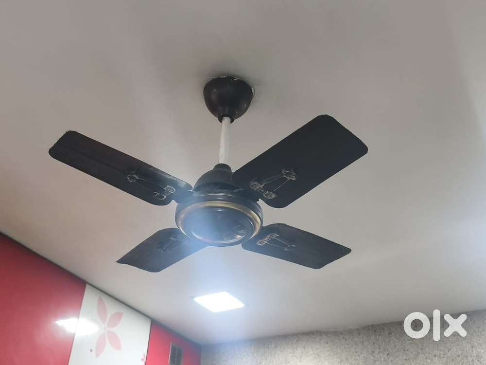 600 mm ceiling fan