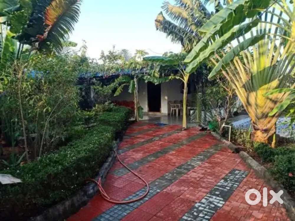 Urgently sale my farmhouse farmland and farmland