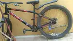 Vector 91 zubich cycle